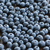 Frozen Blueberry