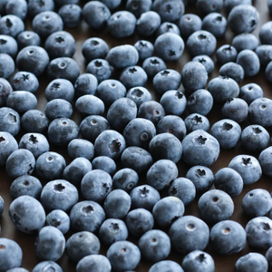 Frozen Blueberry